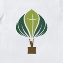 Ecole, Collège - T-shirt "LES CHÂTAIGNIERS VERSAILLES" 2023